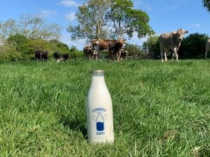 Non Homogenised Milk From Carningli Dairy